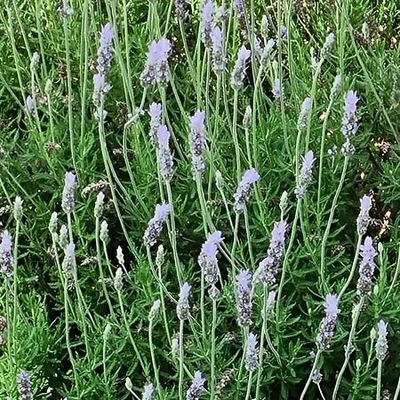 Onlystudio With Free Parking