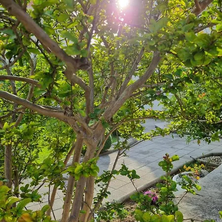 Apartmán Onlystudio With Free Parking