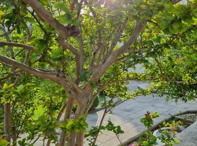 アパート Onlystudio With Free Parking